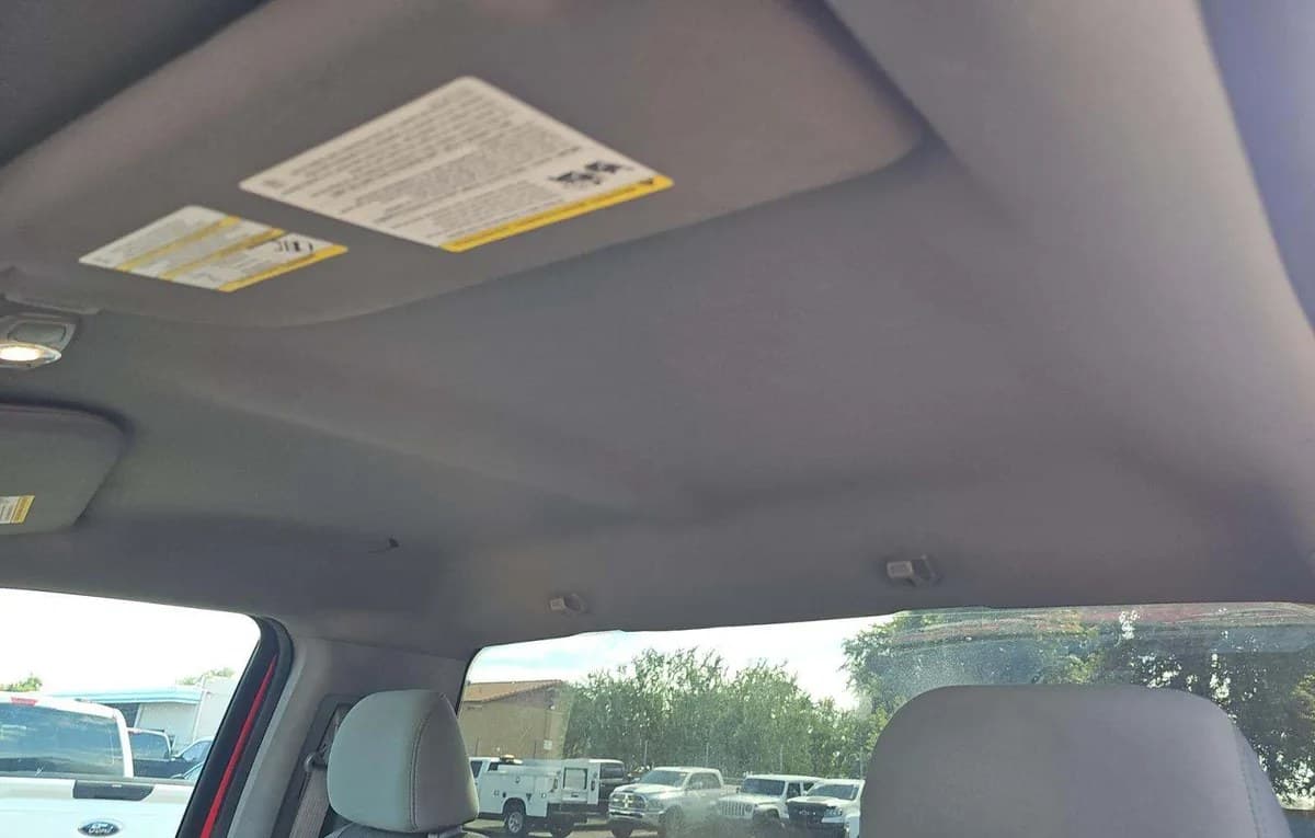 2019 FORD F-150 XL REGULAR CAB LONG BED 5