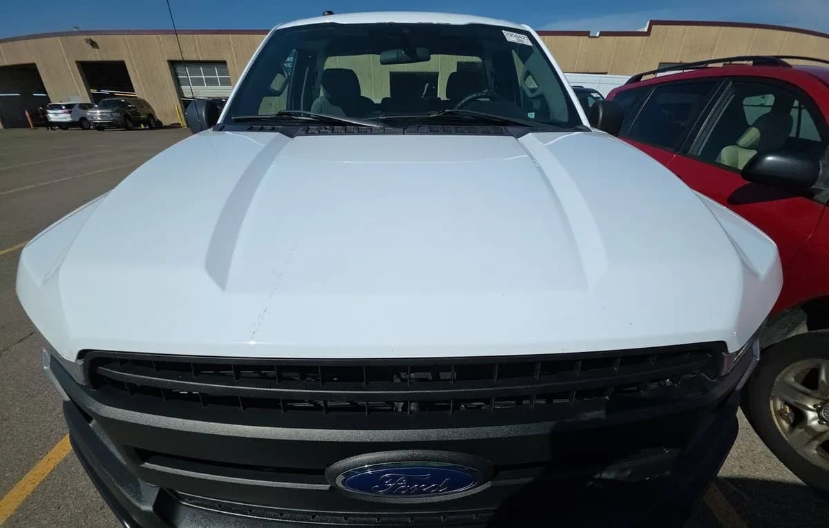 2019 FORD F-150 XL REGULAR CAB LONG BED 3
