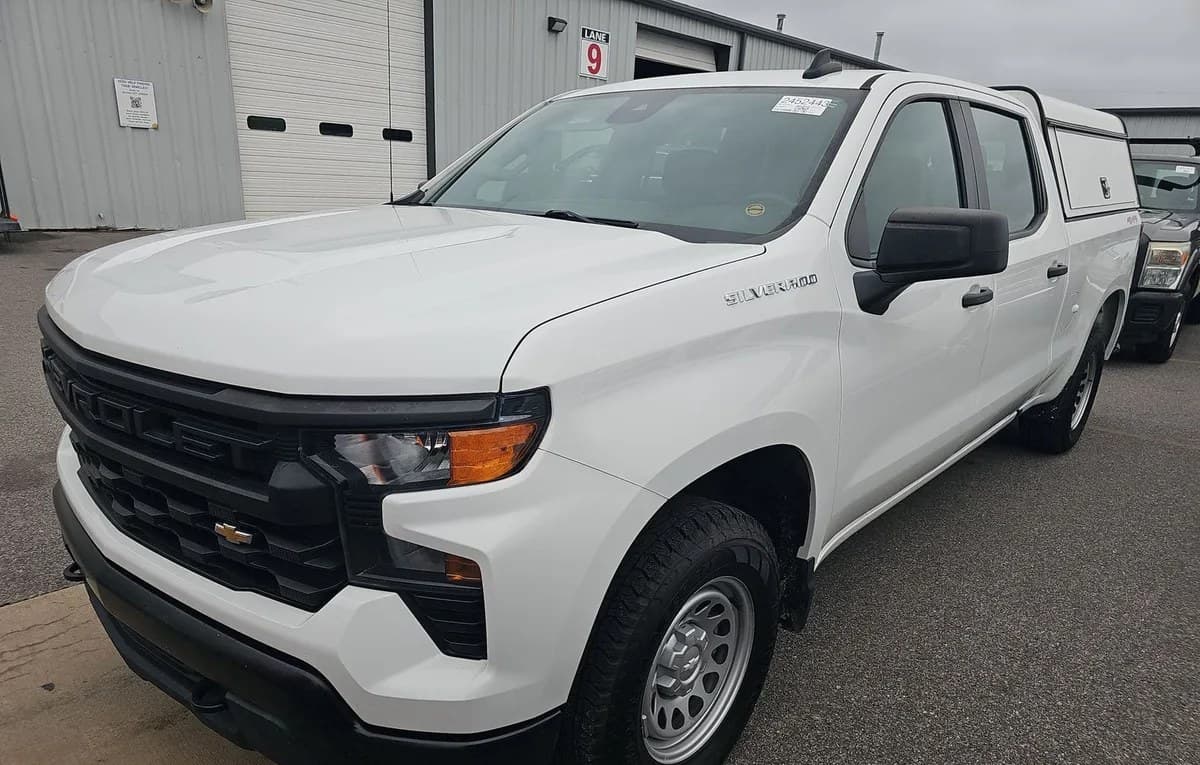 2024 CHEVROLET SILVERADO 1500 WT CREW CAB MEDIUM BED 1WT 2