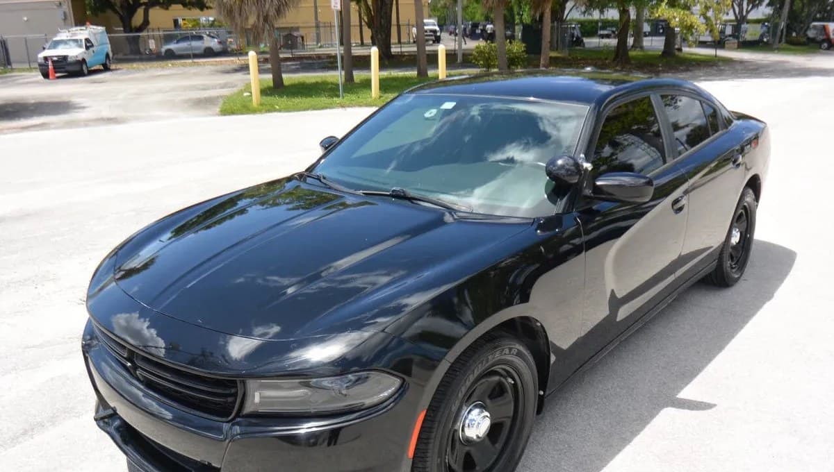 2020 DODGE CHARGER Police 3