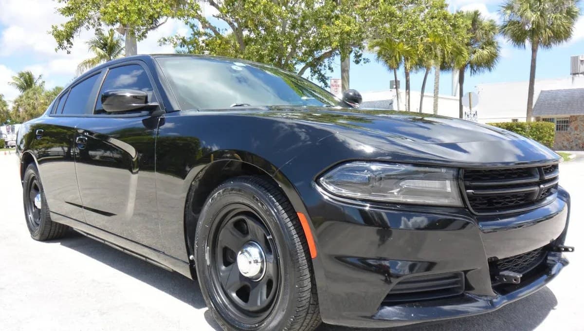 2020 DODGE CHARGER Police 5
