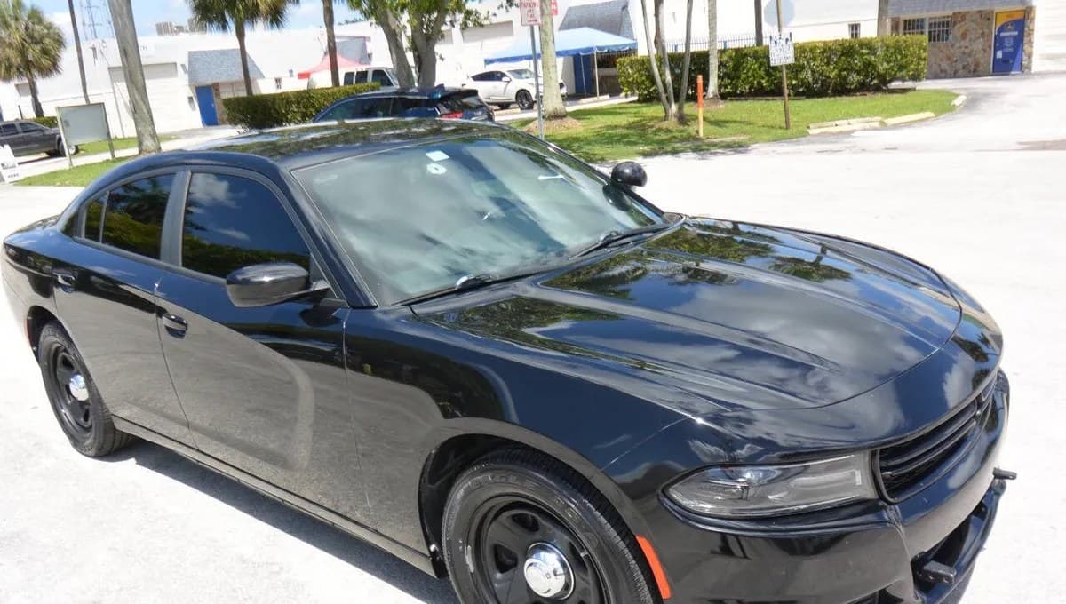 2020 DODGE CHARGER Police 6