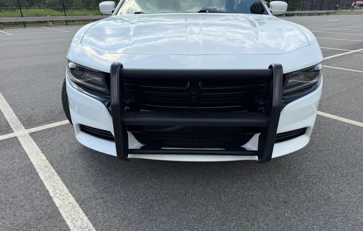 2019 DODGE CHARGER Police 6