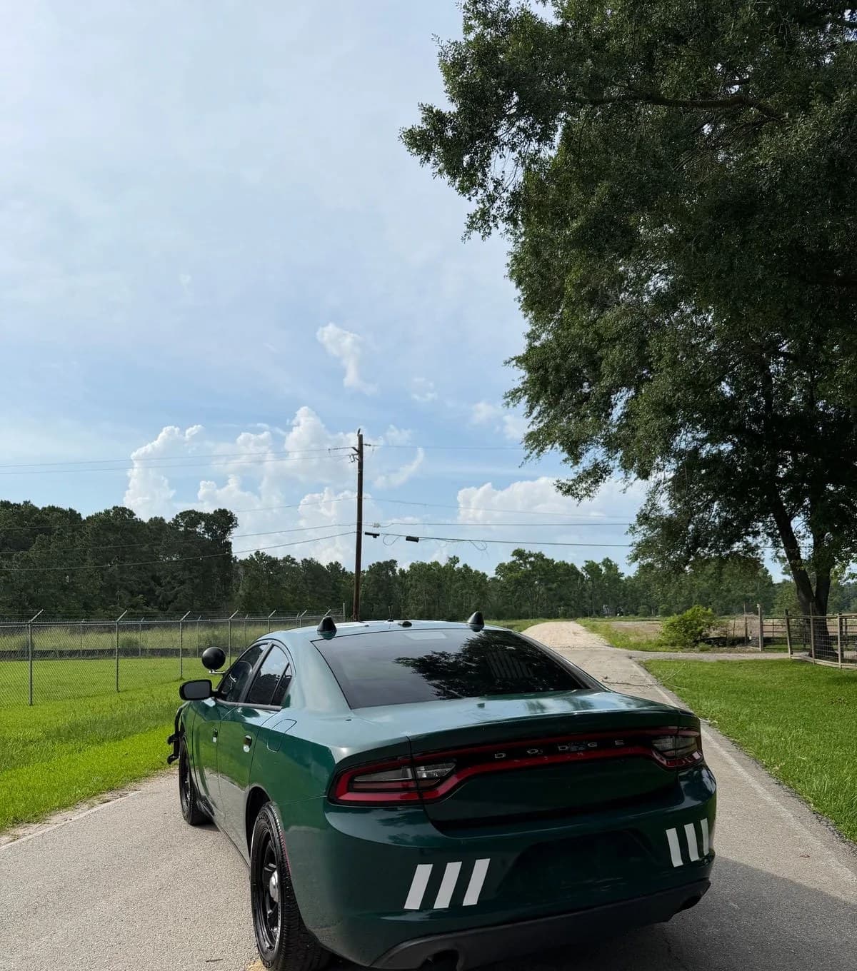 2019 DODGE CHARGER Police 3