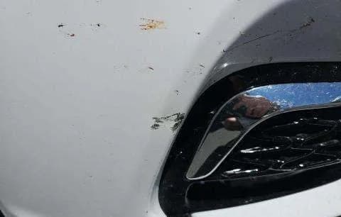 2026 CHRYSLER PACIFICA SELECT 121.6" WB