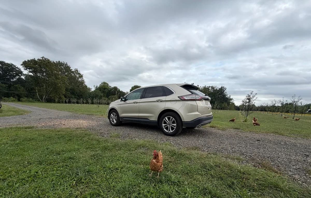 2018 FORD EDGE SEL 5