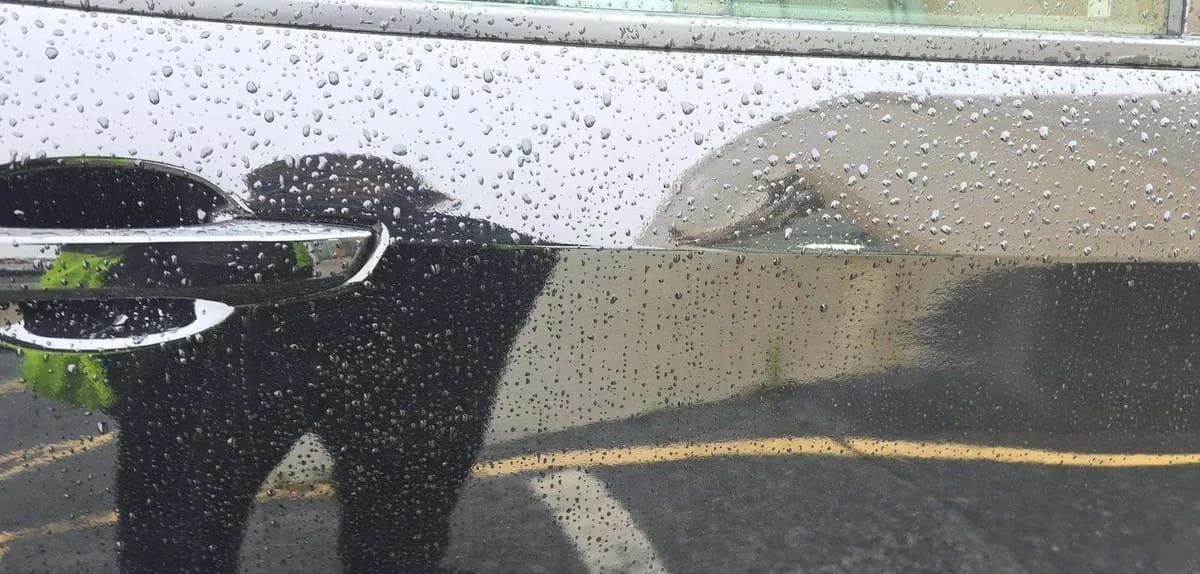 2021 HONDA CIVIC LX 5
