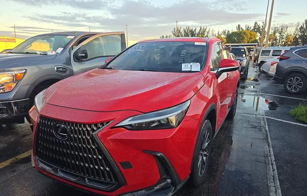 2024 LEXUS NX 250 PREMIUM