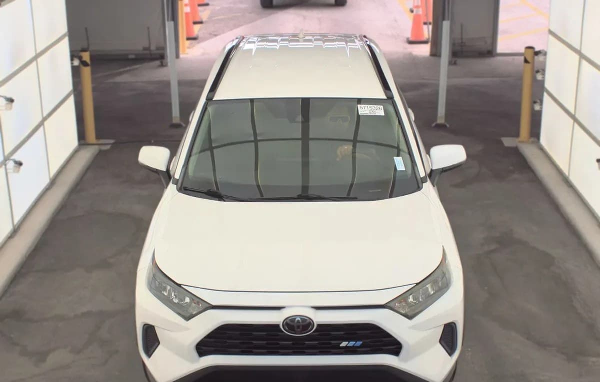 2019 TOYOTA RAV4 LE 3