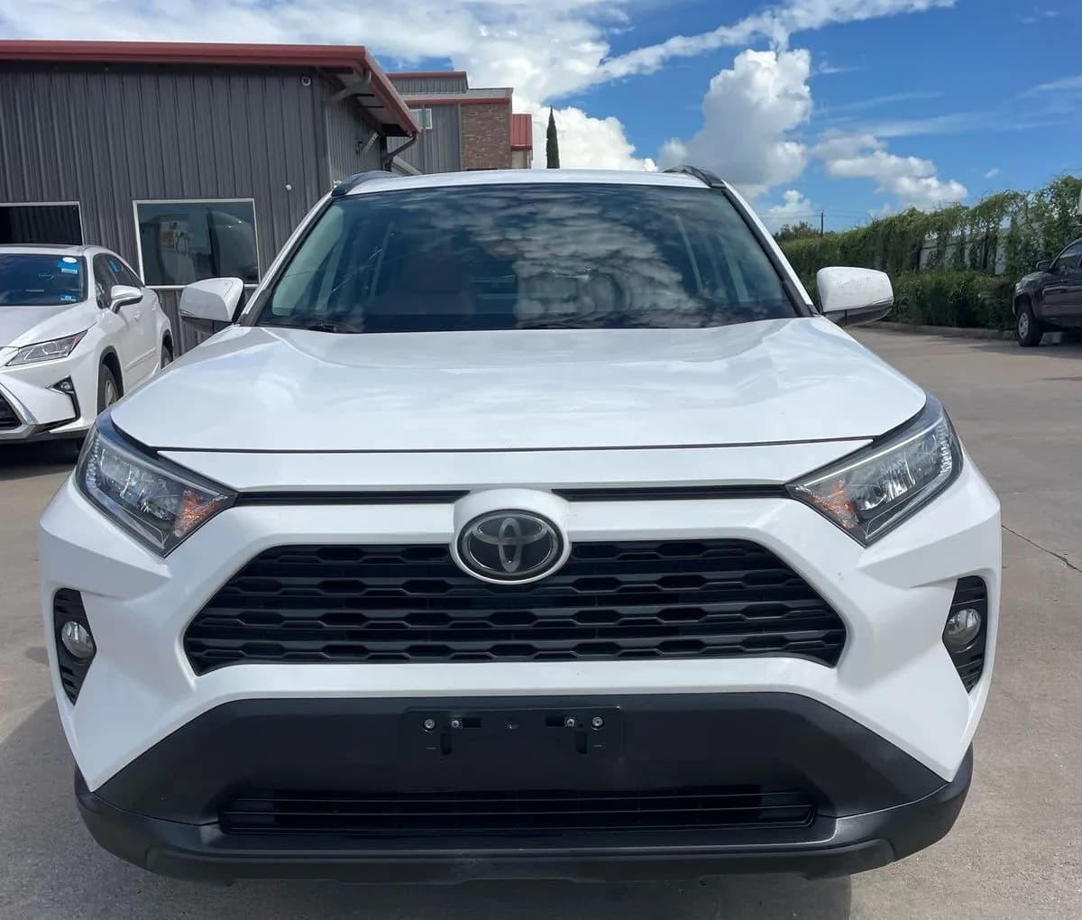 2019 TOYOTA RAV4 XLE 3