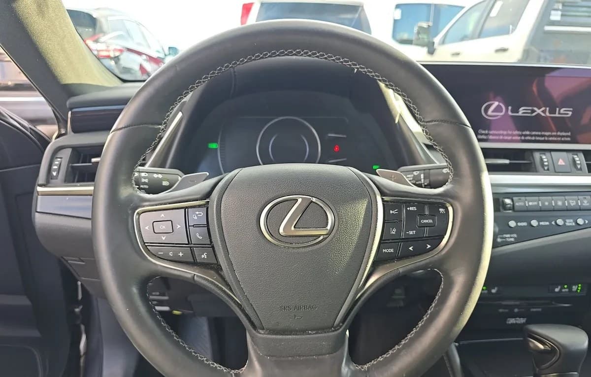 2020 LEXUS ES ES 300h 7
