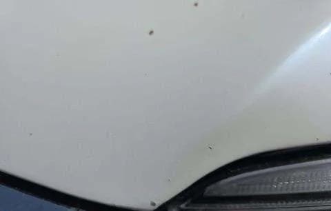 2017 HONDA PILOT EX-L 3