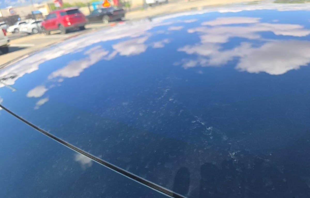 2019 TESLA MODEL 3 STANDARD Range 5