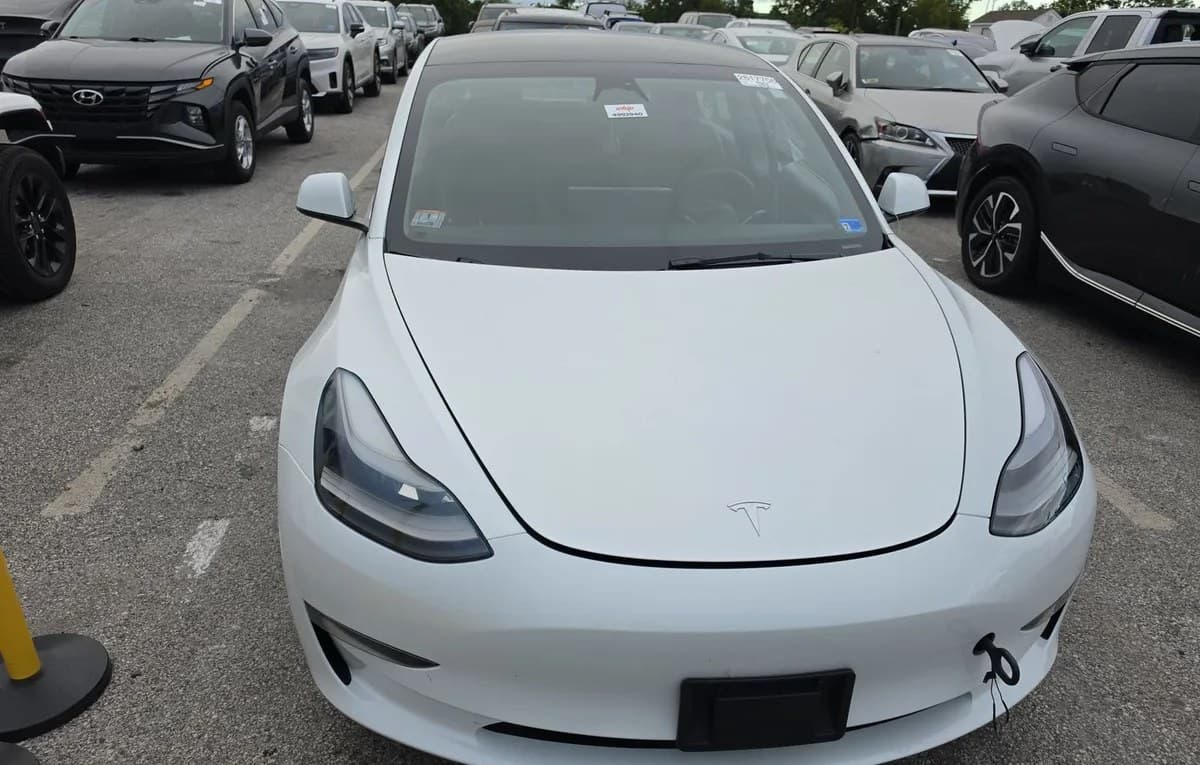 2023 TESLA MODEL 3 STANDARD Range 3
