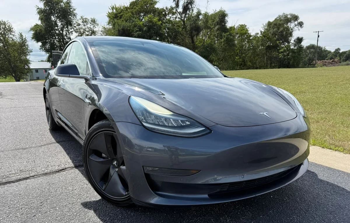 2019 TESLA MODEL 3 STANDARD RANGE Plus 3