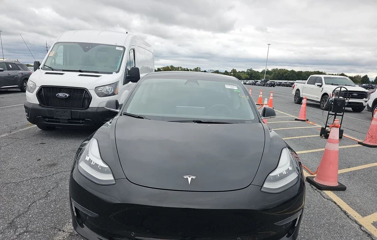 2020 TESLA MODEL 3 STANDARD RANGE Plus 3