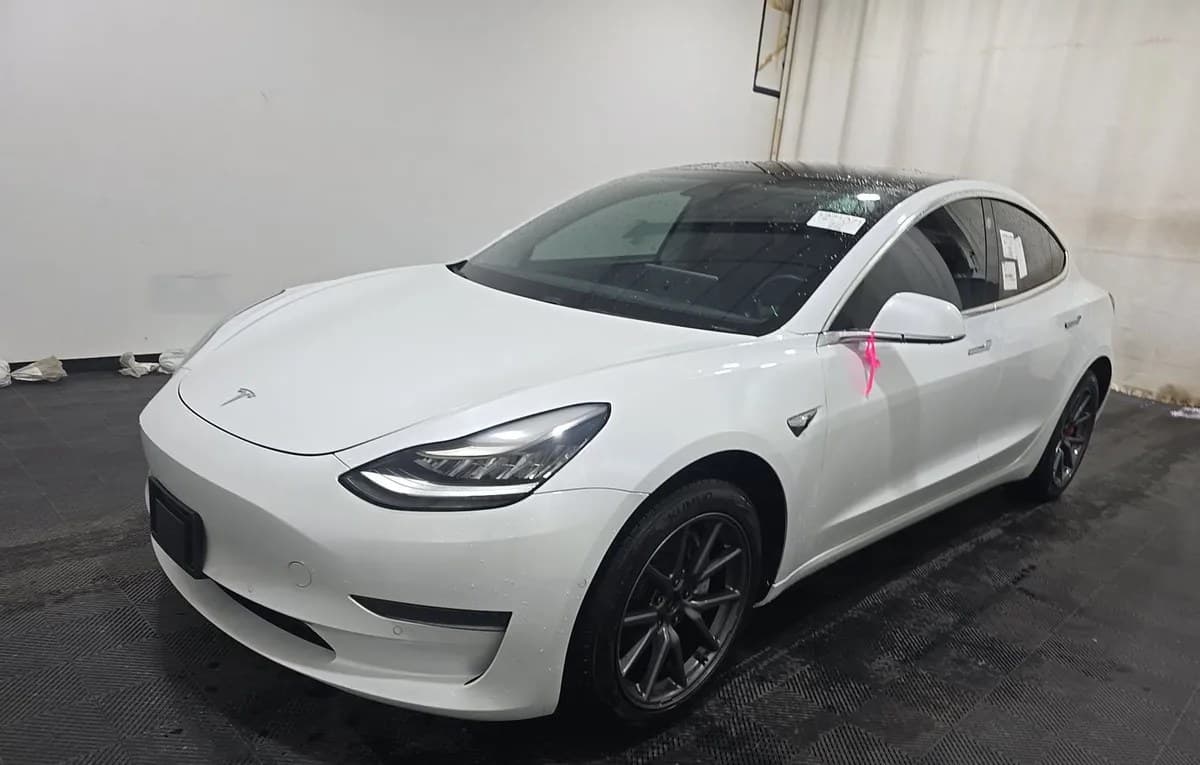 2019 TESLA MODEL 3 STANDARD RANGE Plus 2