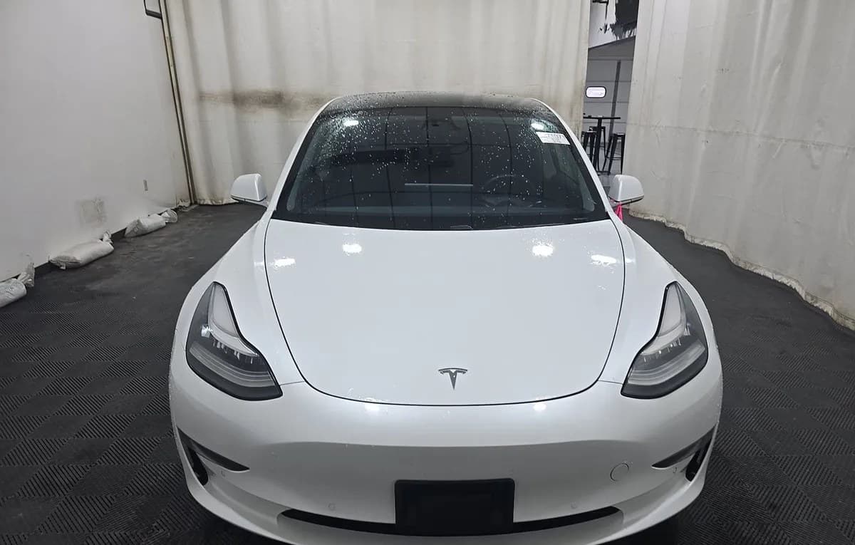 2019 TESLA MODEL 3 STANDARD RANGE Plus 3