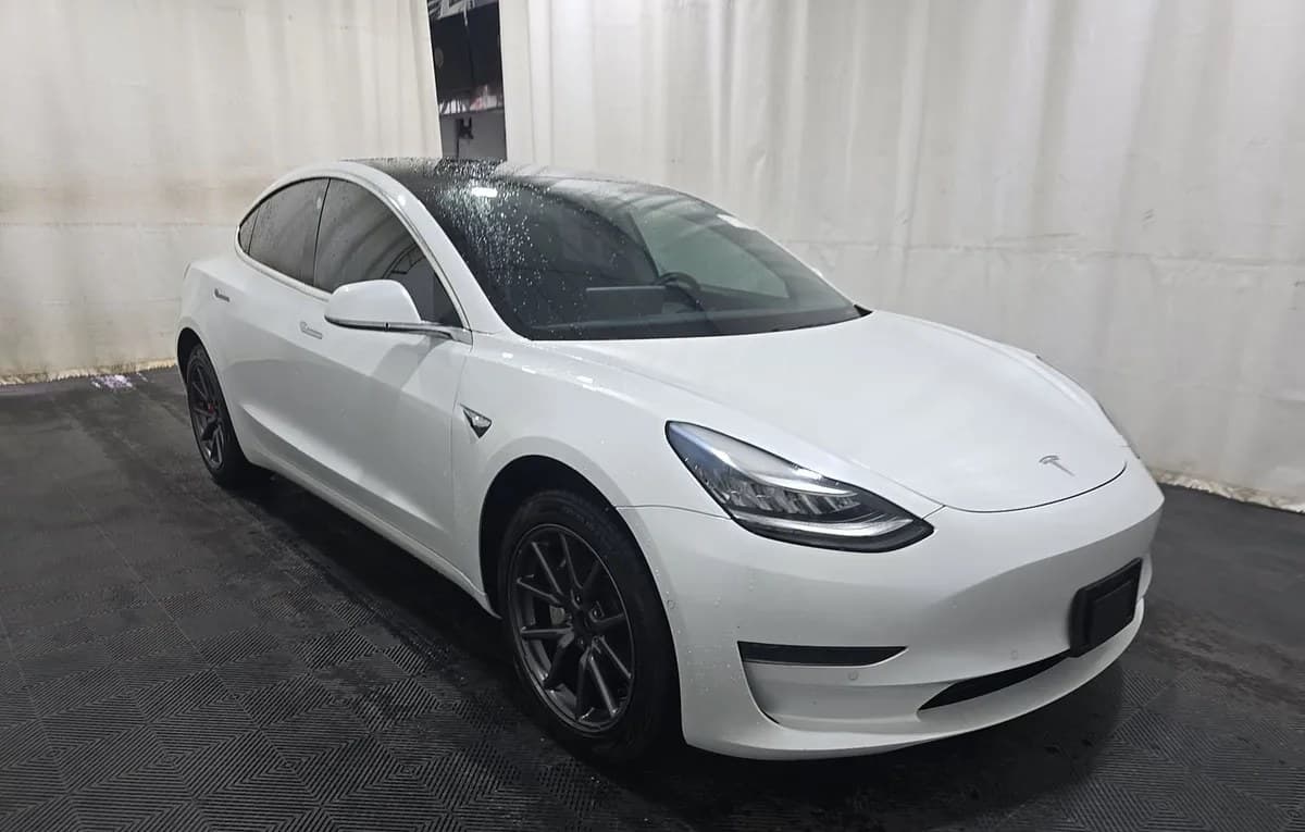2019 TESLA MODEL 3 STANDARD RANGE Plus 4