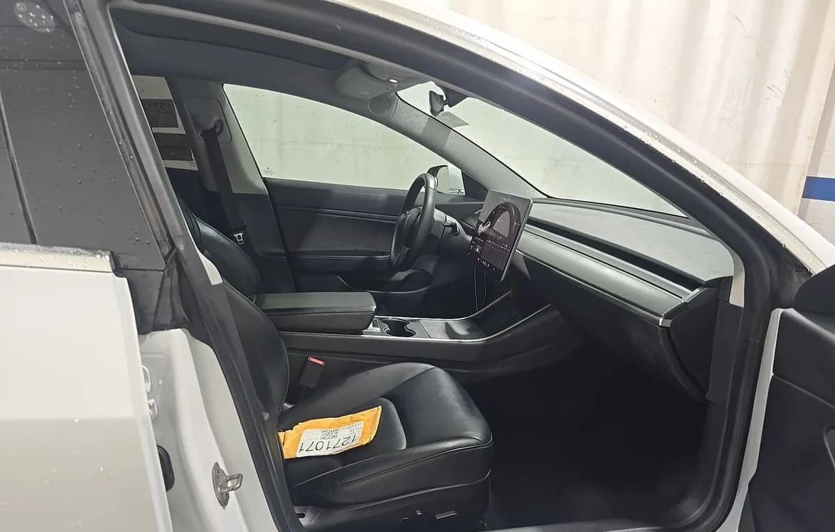 2019 TESLA MODEL 3 STANDARD RANGE Plus 5