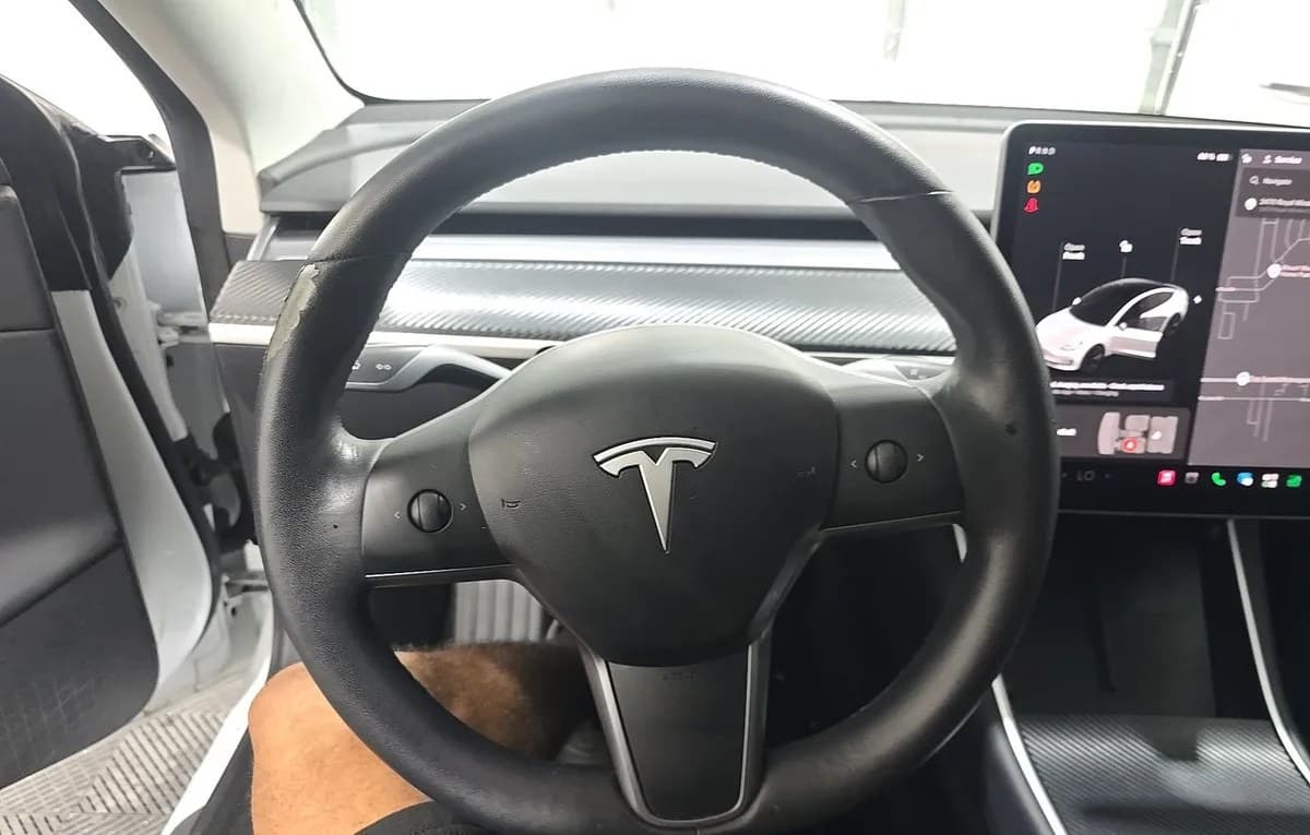 2019 TESLA MODEL 3 STANDARD RANGE Plus 7