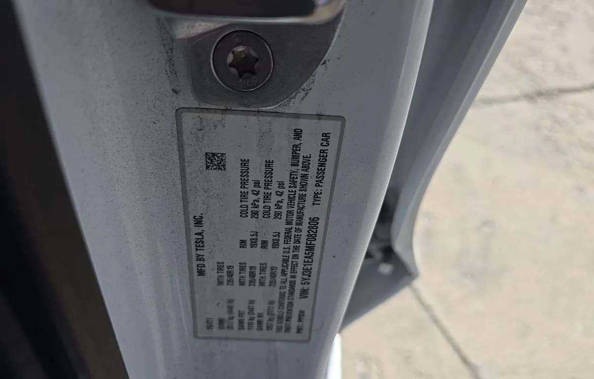 2021 TESLA MODEL 3 STANDARD RANGE Plus 3