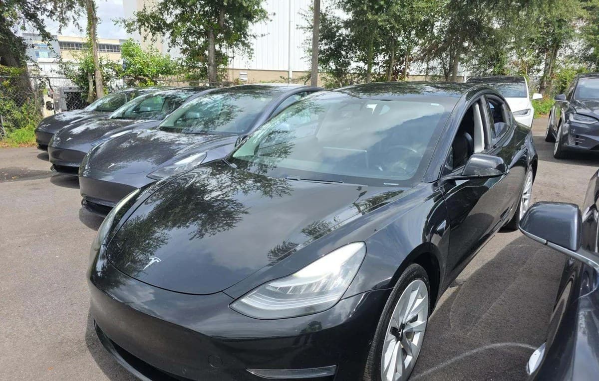 2021 TESLA MODEL 3 STANDARD RANGE Plus 2