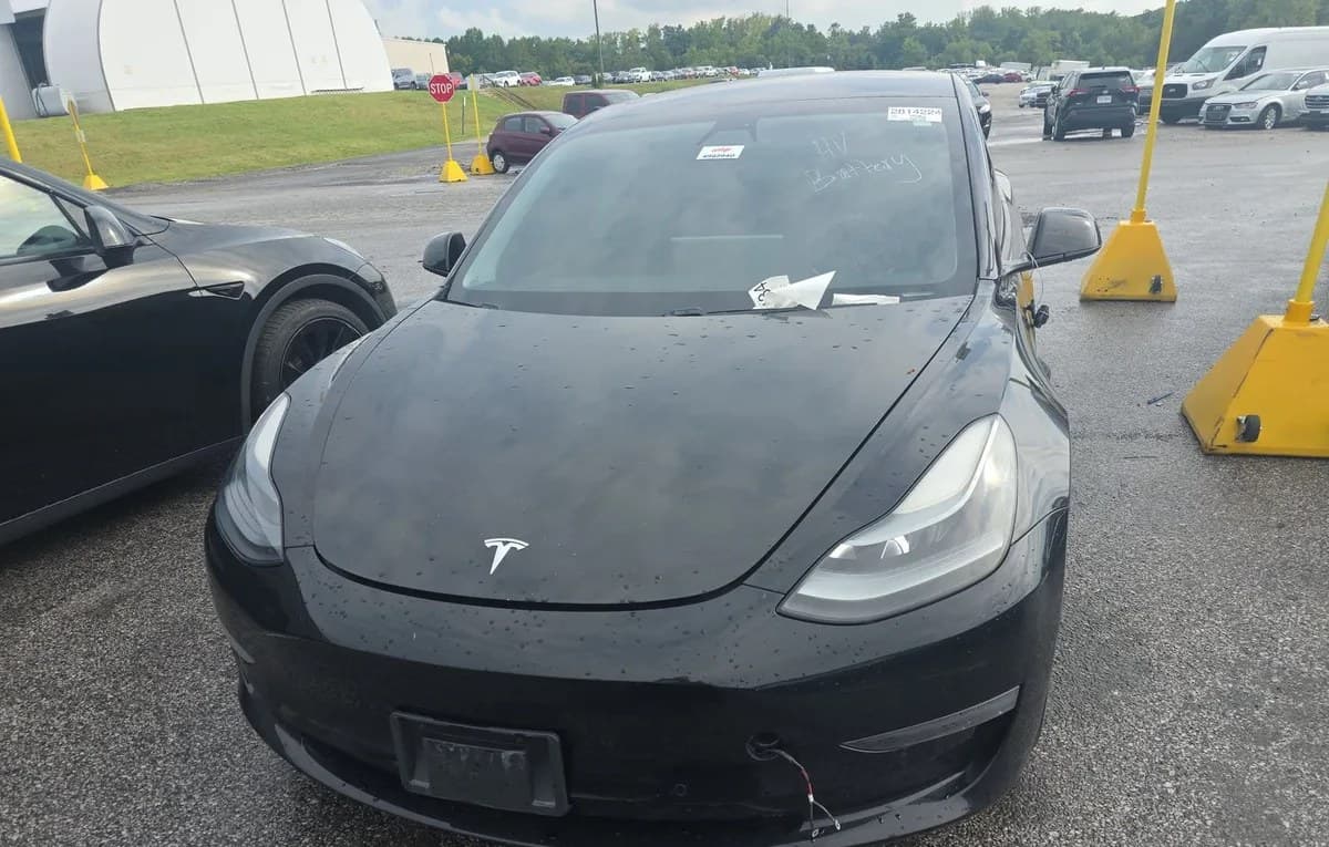 2021 TESLA MODEL 3 STANDARD RANGE Plus 3