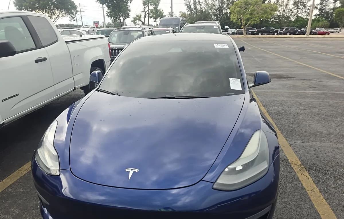 2021 TESLA MODEL 3 STANDARD RANGE Plus 3