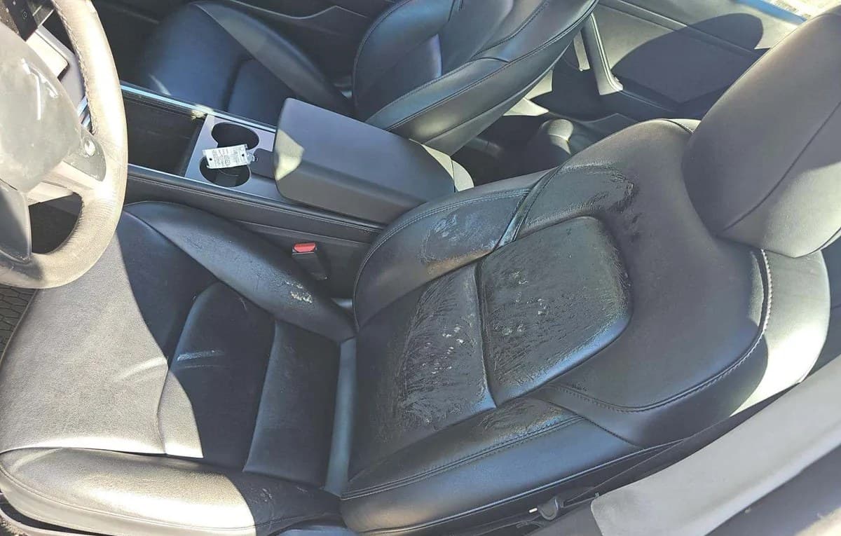 2022 TESLA MODEL 3 STANDARD Range 4
