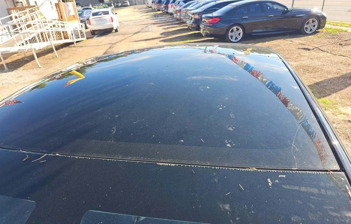 2022 TESLA MODEL 3 STANDARD Range 6
