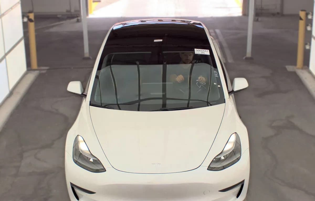 2021 TESLA MODEL 3 STANDARD RANGE Plus 3