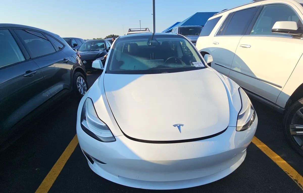 2020 TESLA MODEL 3 STANDARD Range 2