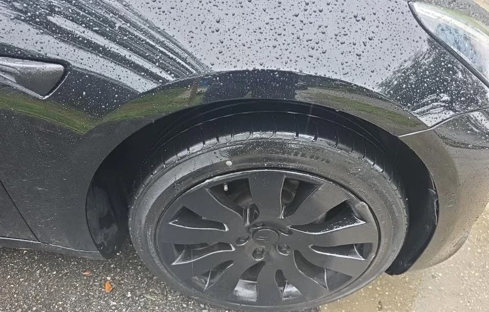 2019 TESLA MODEL 3 STANDARD RANGE PLUS 6
