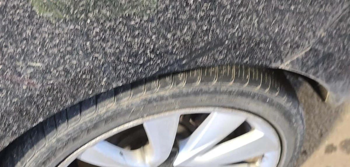 2020 TESLA MODEL 3 STANDARD Range 4