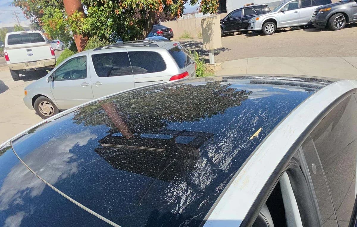 2021 TESLA MODEL Y LONG Range 6
