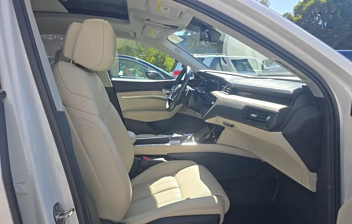 2019 AUDI E-TRON Prestige 5