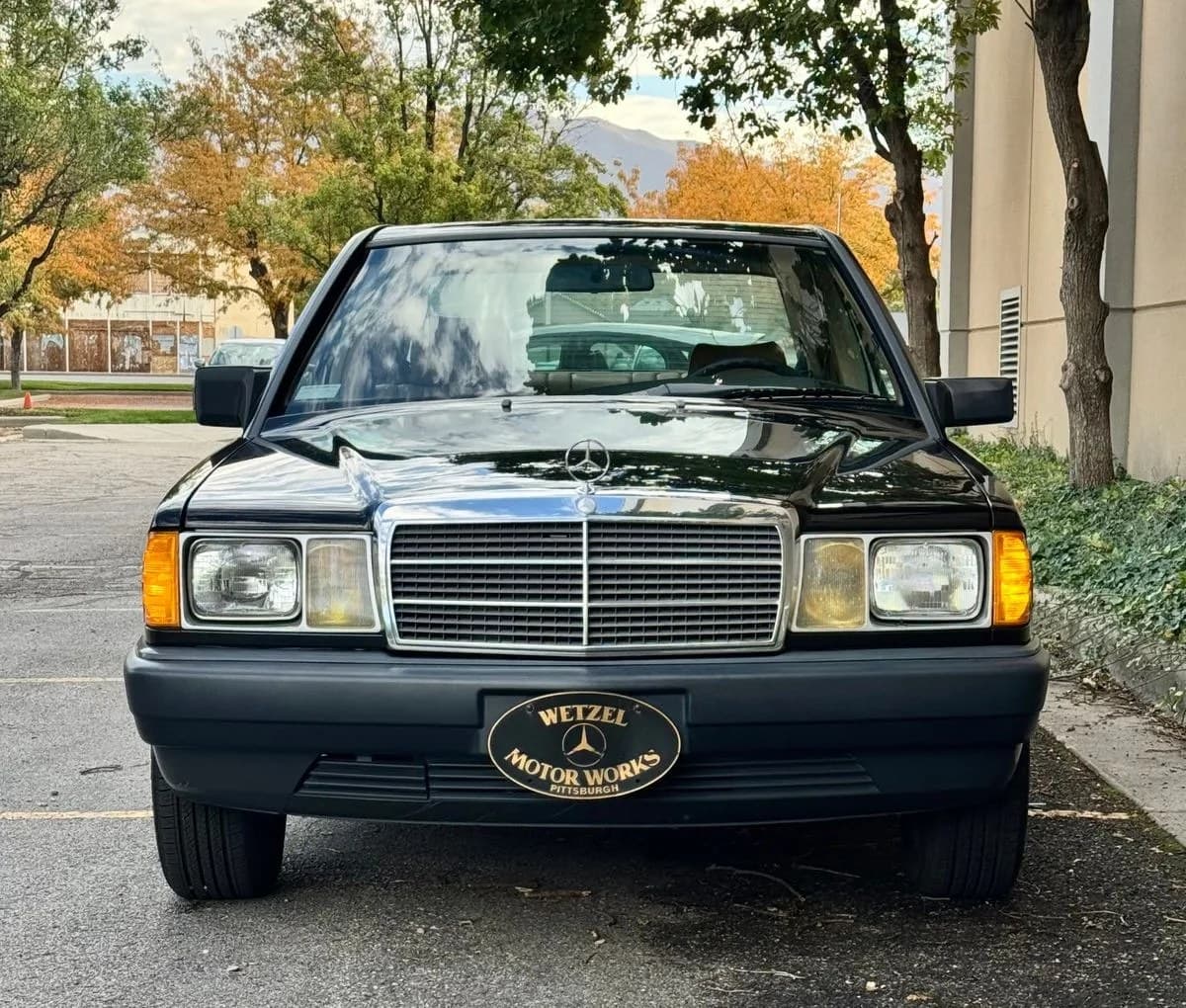1985 MERCEDES-BENZ 190 E W/ABS 5