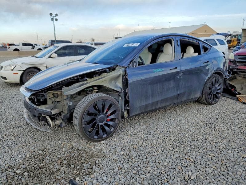 2023 TESLA MODEL Y - 1