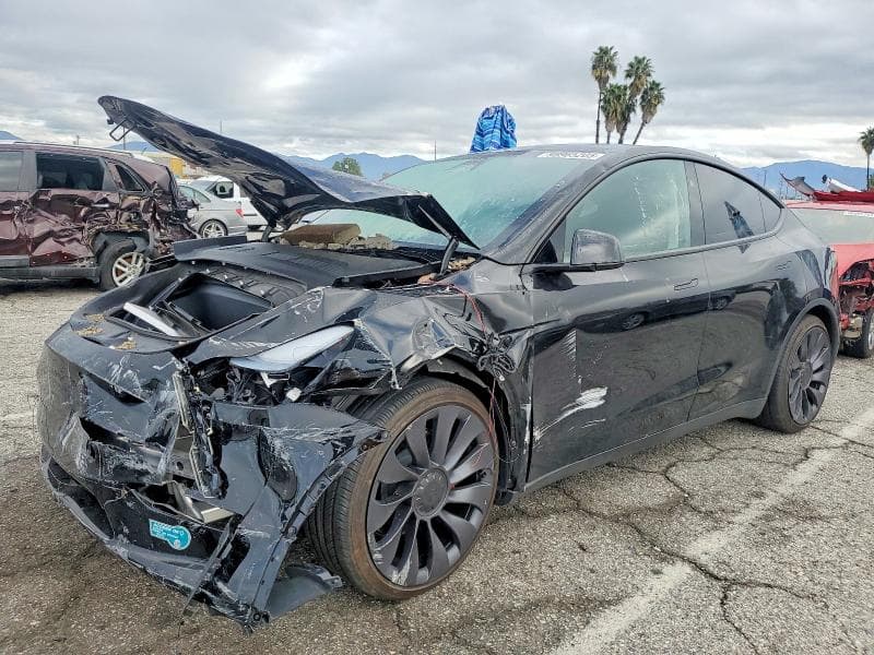 2025 TESLA MODEL Y - 1