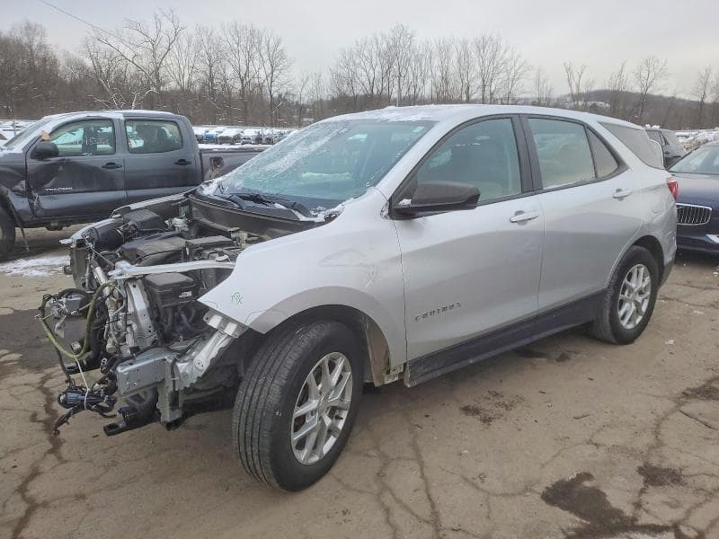 2021 CHEVROLET EQUINOX LS - 1