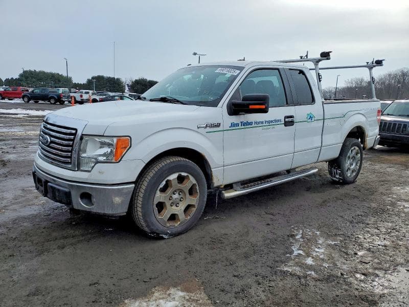 2010 FORD F-150 - 1