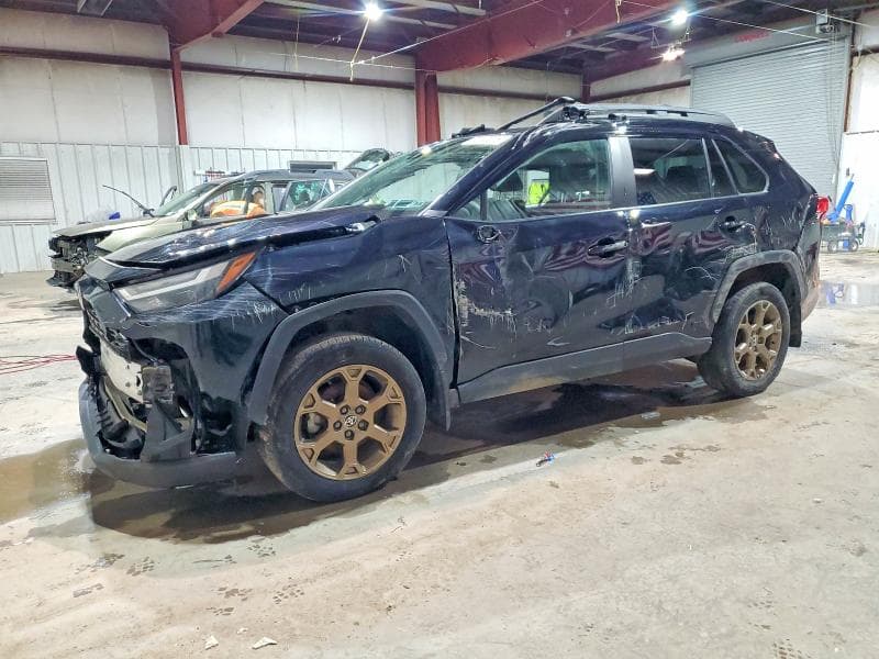 2024 TOYOTA RAV4 WOODLAND EDITION - 1