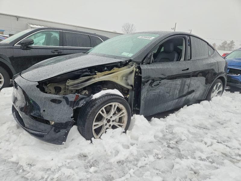 2020 TESLA MODEL Y - 1