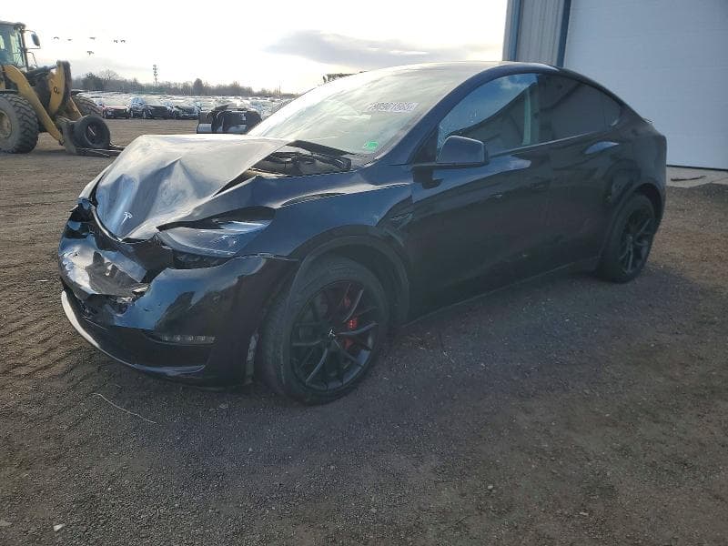 2023 TESLA MODEL Y - 1