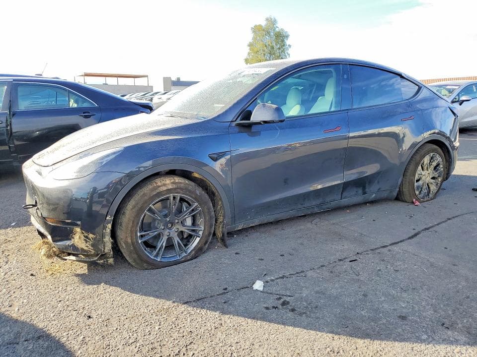 2025 TESLA MODEL Y - 1
