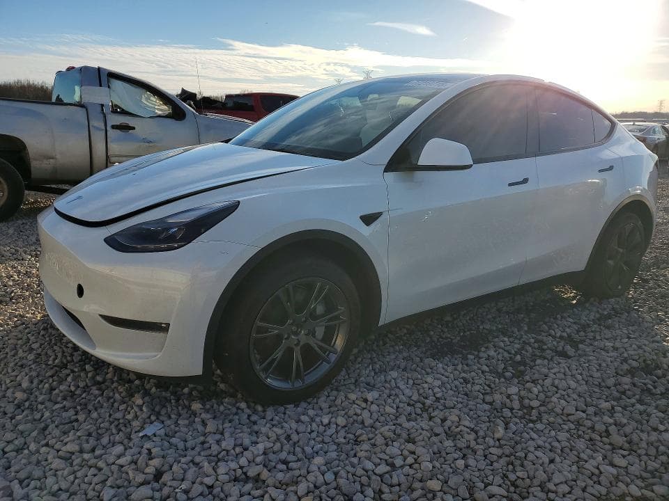2025 TESLA MODEL Y - 1