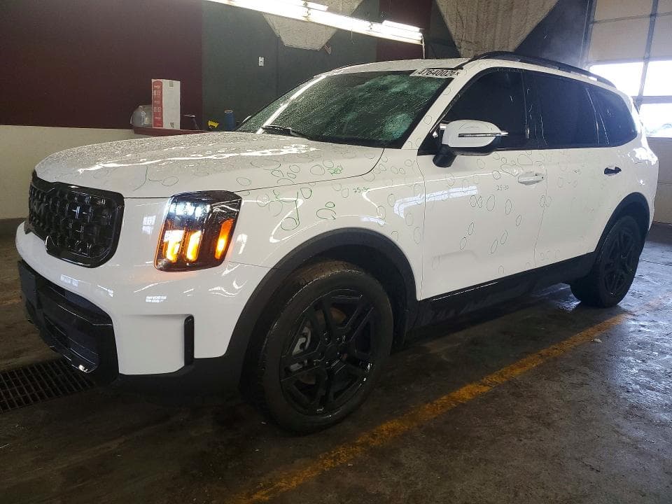 2025 KIA TELLURIDE EX X-LINE EX X-LINE - 1