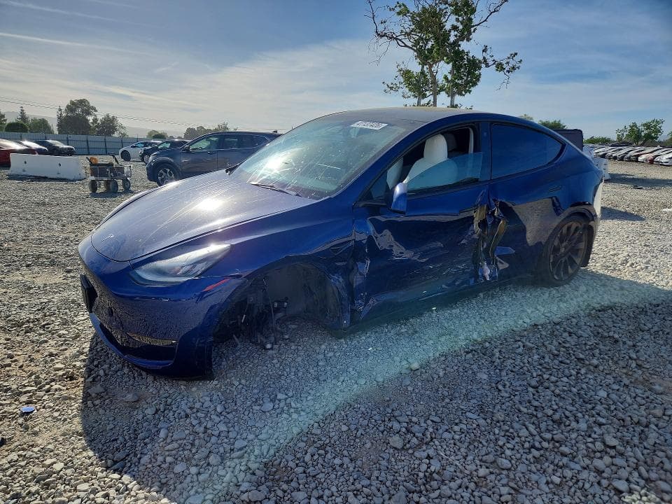 2021 TESLA MODEL Y - 1