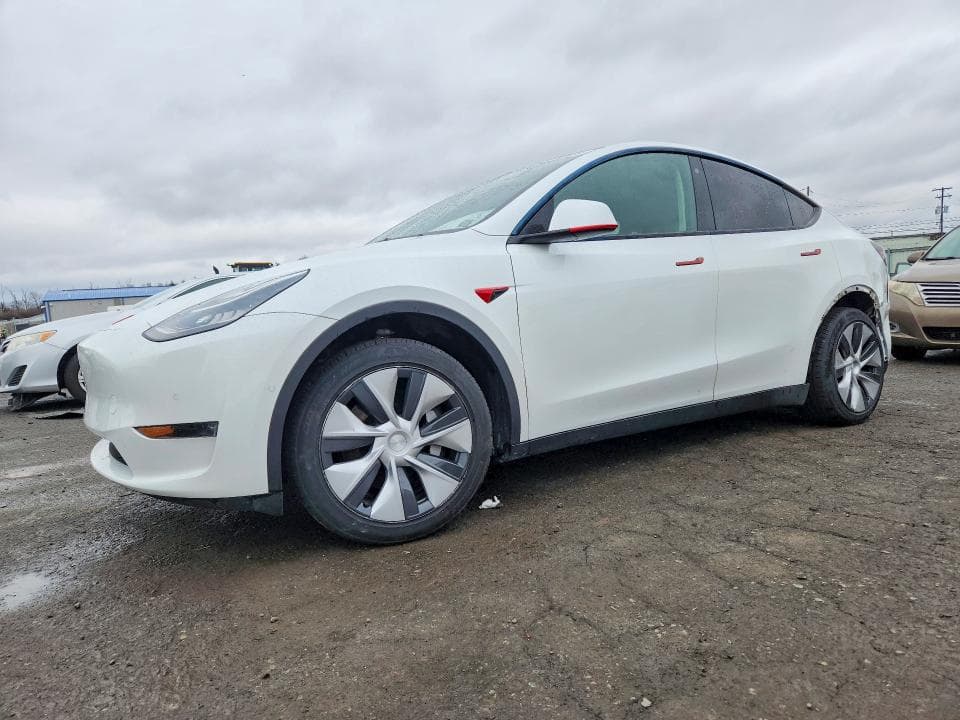 2021 TESLA MODEL Y - 1